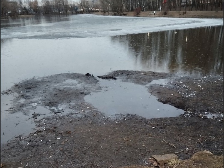 В Ярославле погибает пруд в парке Нефтяник