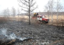В Ашкинском округе крупный пожар ликвидировали на площади 5080 гектаров