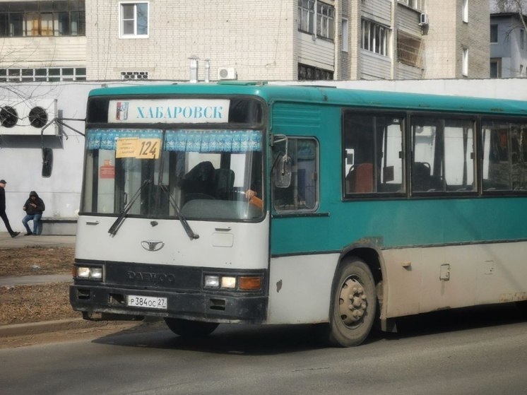 Актуальное расписание пригородных автобусов 2024 в материале «МК в Хабаровске»