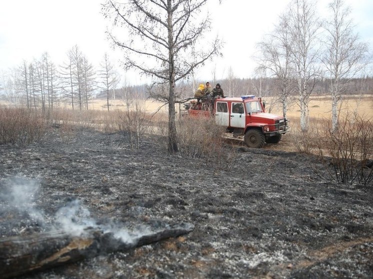 Площадь ликвидированного пожара в Акшинском округе превысила 5 тысяч гектаров