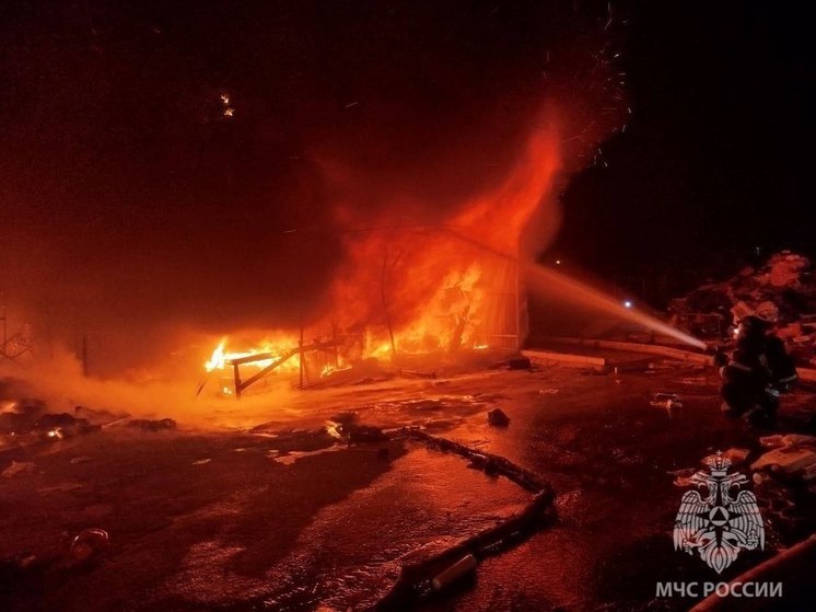 В Астрахани после крупного пожара на базаре эвакуировали 100 человек