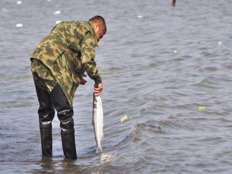 Новый порядок лова рыбы введут для участников СВО на Чукотке