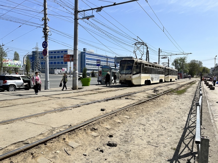 На площади Ленина установили вазоны с высохшими деревьями