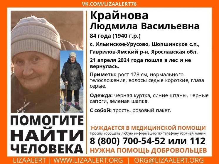 В Ярославской области ищут бабушку с тростью и розовым пакетом