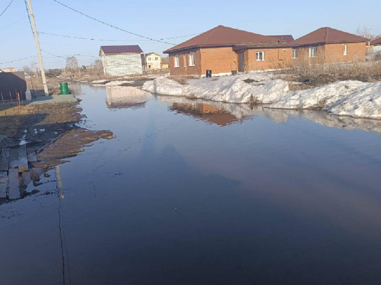 Река Уй вышла из берегов и затопила дома в Новосибирской области