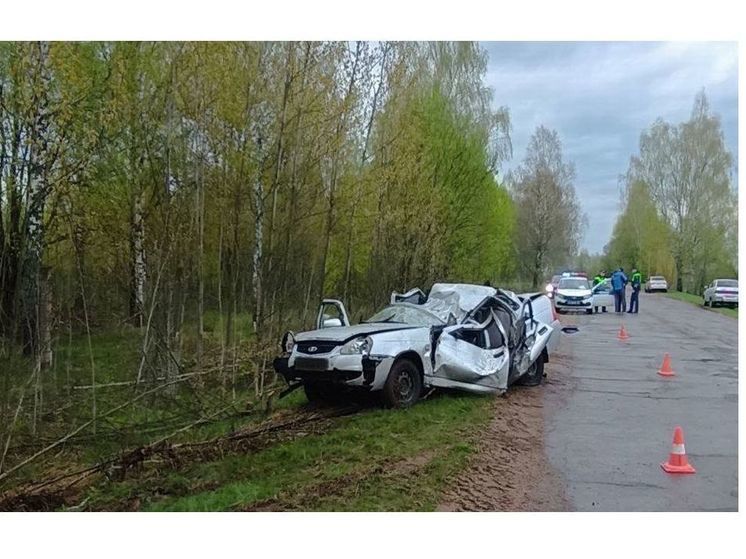 В Починковском районе в ДТП погиб водитель «Приоры»