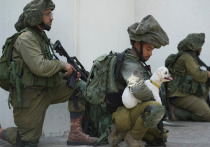 Соединенные Штаты могут ввести ограничительные меры не только против батальона "Нецах Йегуда", но и против других подразделений ЦАХАЛ, пишет Times of Israel со ссылкой на двух неназванных американских официальных лиц