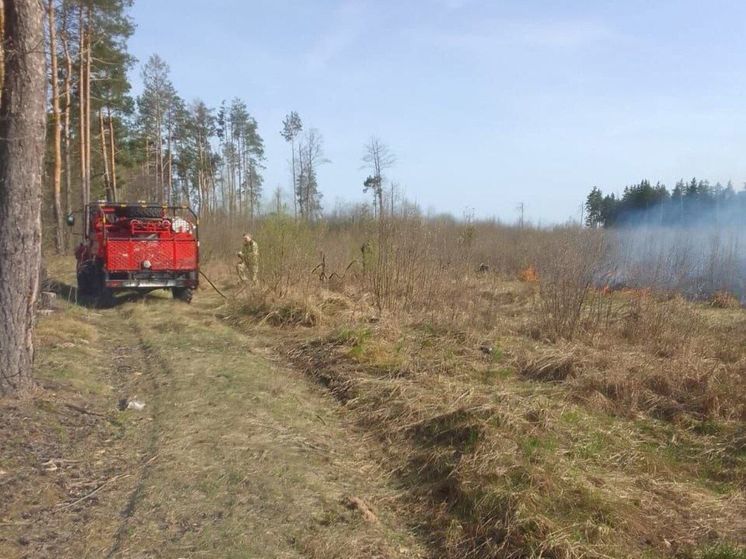 В Подмосковье во время сильного ветра тушили лесной пожар