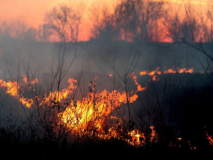 Пожарную обстановку на территории Ивановской области проконтролируют беспилотники