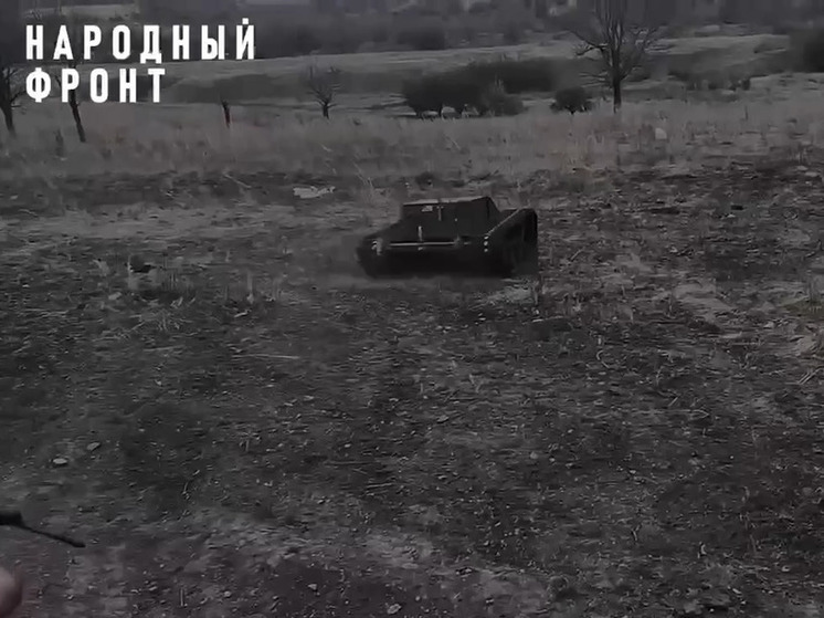Сахалинские «фронтовики» передали на СВО багги и гусеничный тягач