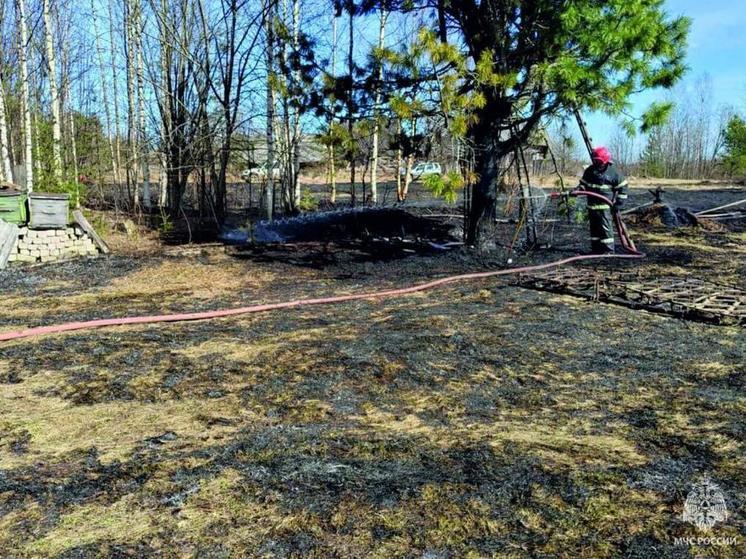 Старик-пасечник в Костромском области едва не погиб из-за пала травы