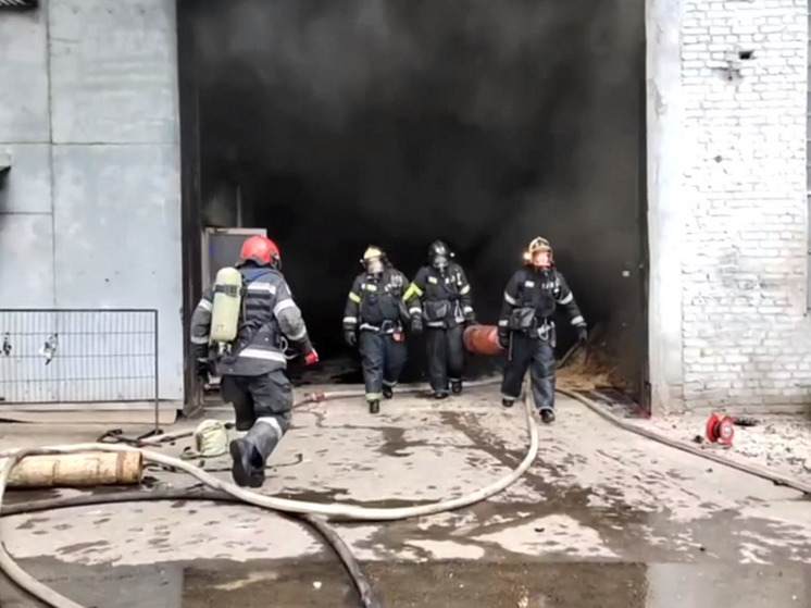 В Воронеже на улице Солнечной ликвидировано возгорание производственного цеха