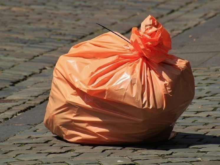 Выбрасывающего мусор из окна белгородца наказали правоохранители