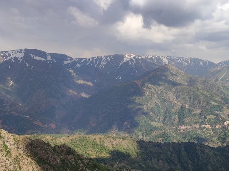 Спасатели в Румынии нашли заблудившихся украинских уклонистов, которые 4 дня провели в горах