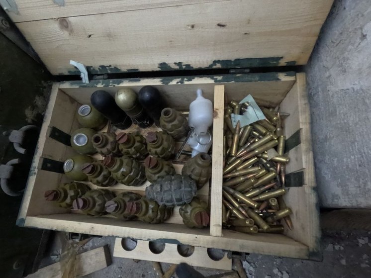 Схроны с боеприпасами и нацистской символикой найдены в Авдеевке