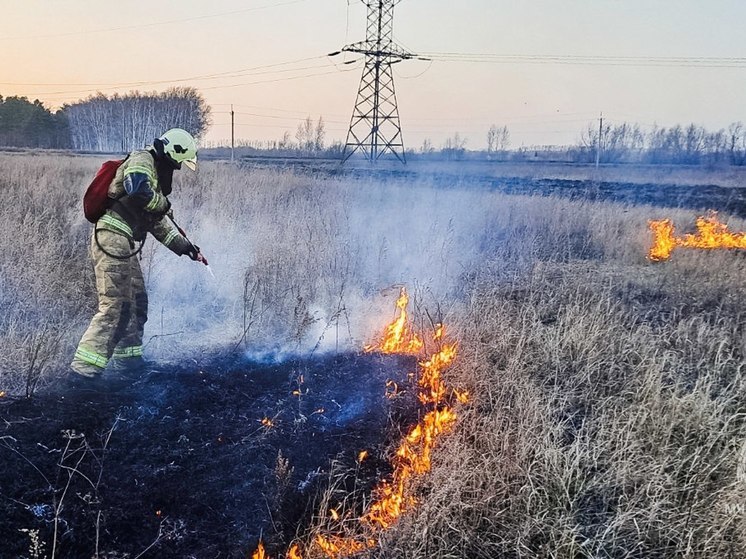 За неделю на тушение сухой травы или мусора в Омской области пожарные выезжали 62 раза