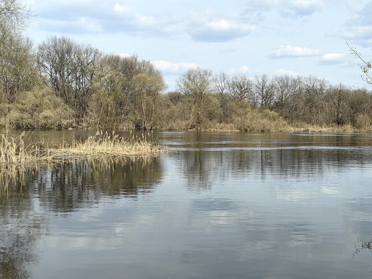 В реке Дон под Воронежем нашли тело 60-летнего мужчины