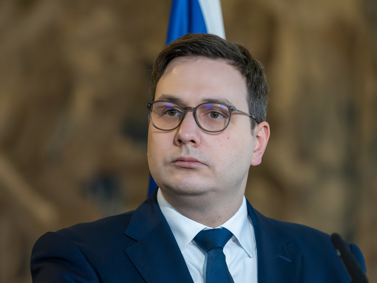 Глава МИД Чехии предложил ограничить поездки российских дипломатов в ЕС