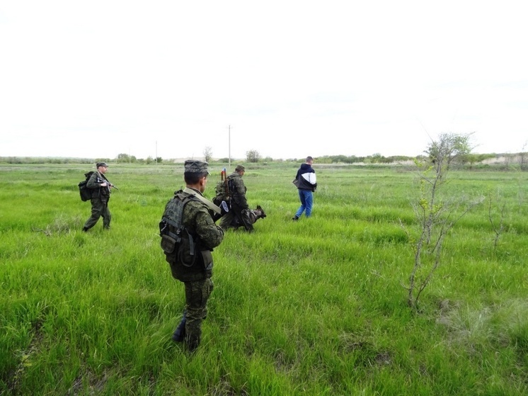 Двух граждан из Закавказья задержали за пересечение границы