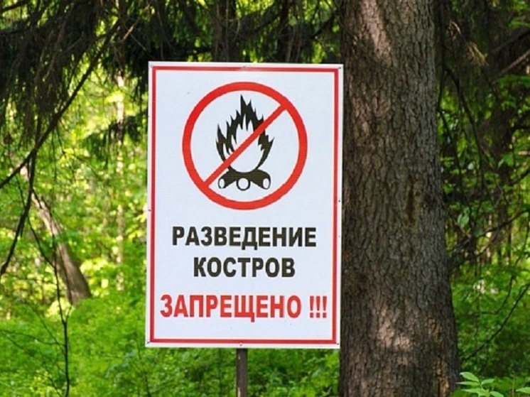 В горах Сочи предупреждают о высокой пожароопасности