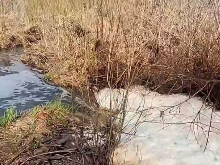 В Ростове нашли очередную зловонную реку