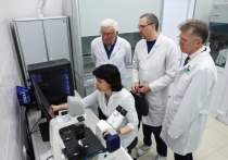 Учёные Северо-Кавказского федерального университета (СКФУ) вместе с зарубежными коллегами продолжают изучать действие биологически активных веществ и разрабатывать технологию микрокапсулирования для получения обогащённых продуктов питания