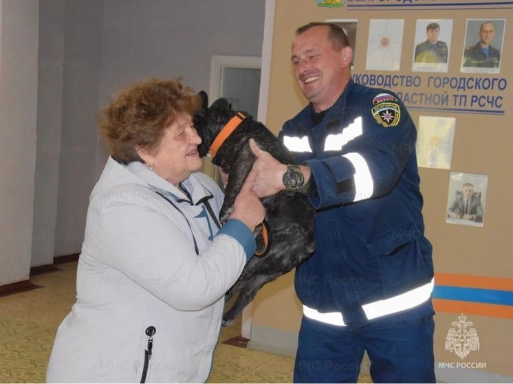 В Белгороде спасатели достали породистого пса из теплового коллектора