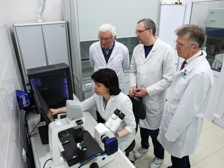 Исследования проводятся на базе созданной в федеральном университете лаборатории пищевой и промышленной биотехнологии мирового уровня и Белорусского государственного университета.
