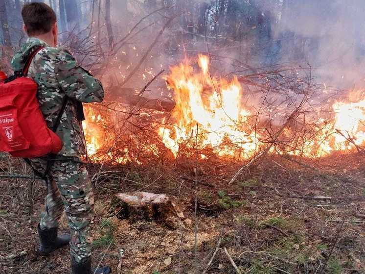 В Пензенской области ликвидировали лесные пожары на площади 2,6 га