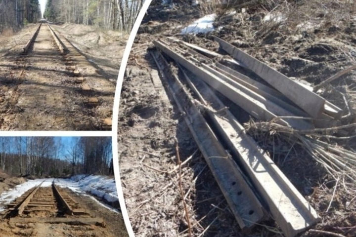 Житель Костромы украл 400 метров железнодорожных рельсов в Ярославле  