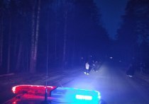 Поздним вечером в поселке Белокаменный Асбестовского района пьяный водитель насмерть сбил 13-летнюю девочку