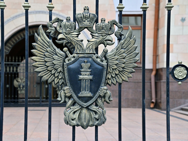 Жительница Петербурга наказала экс-супруга за оскорбление в мессенджере