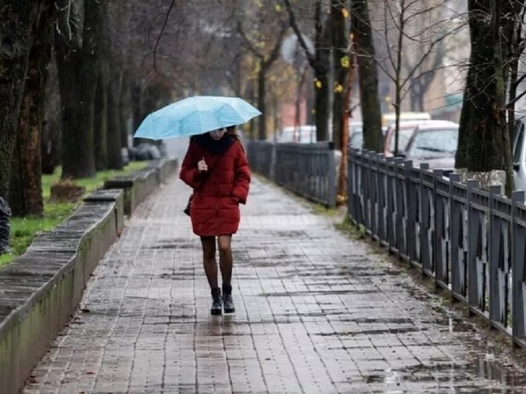 Мокрый снег с дождем ожидается ночью 23 апреля в Псковской области