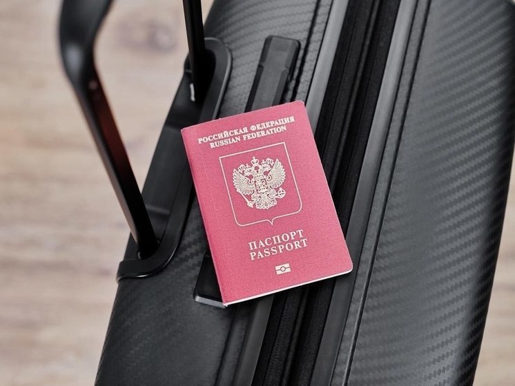 Петербурженку задержали в аэропорту за попытку провезти в багаже нацистские «железные кресты»