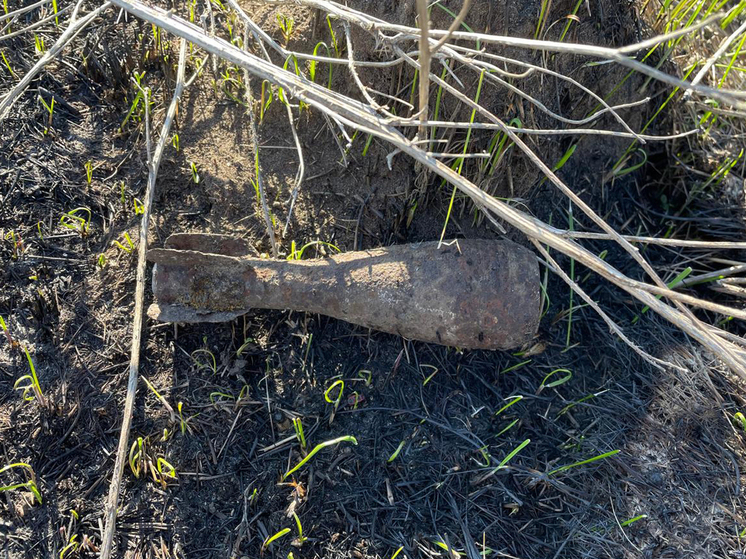 Взрывотехники Росгвардии обезвредили мину в Рязанской области