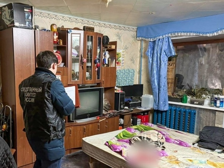 Житель Коврова убил свою сожительницу