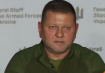 Служба безопасности Украины (СБУ) задержала экс-главкома ВСУ Валерия Залужного после отказа стать послом в Британии
