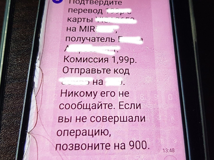 Житель Петрозаводска назвал код от «Госуслуг» и лишился 90 тысяч рублей