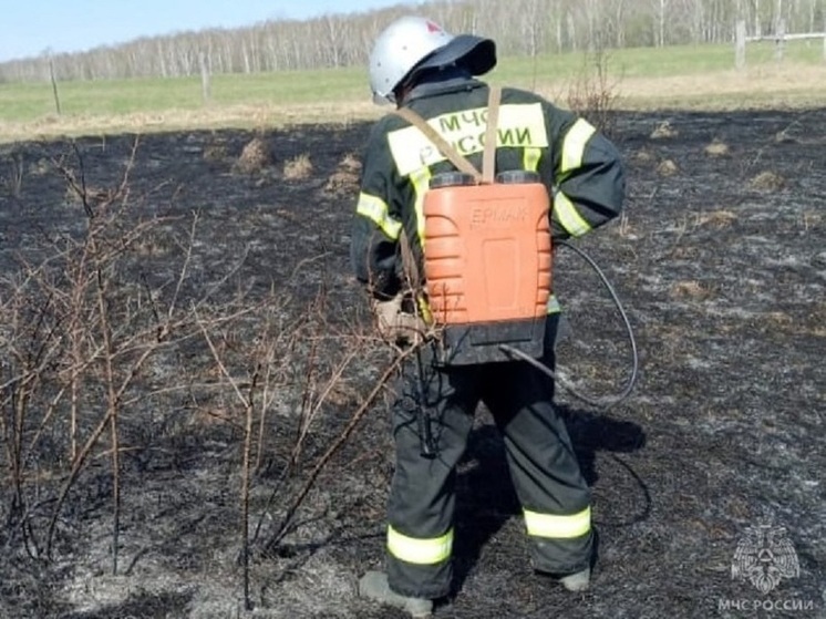 Огонь едва не уничтожил в Хотынецком районе сразу несколько домов