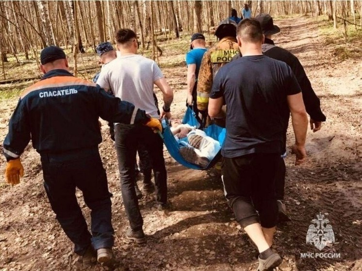 Упавшее дерево в Казани серьезно повредило ногу женщине