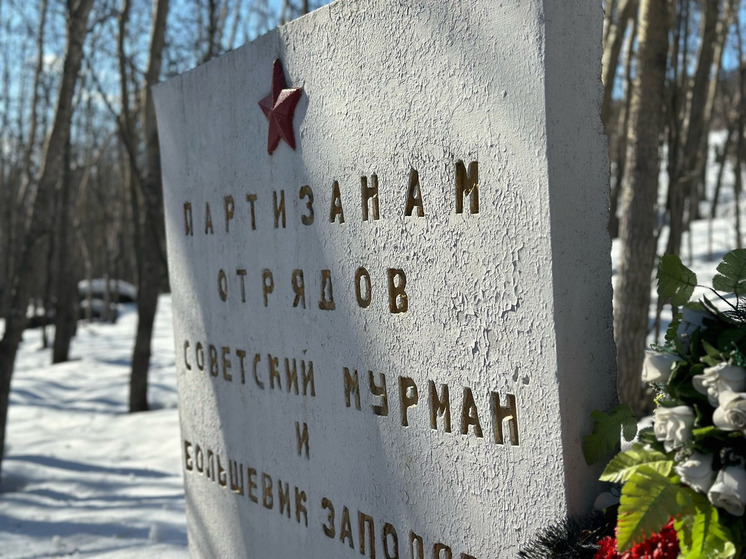 Волонтеры Кольского района позаботились о памятнике «Партизанский кедр»