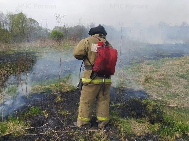 В Курской области за неделю произошло около 50 пожаров