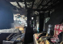 Женщина в ночь на 22 апреля получила ожоги рук первой степени, выбираясь из горящего дома в поселке Атамановка Читинского района