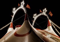 В забайкальских канала разных мессенджерах распространяется реклама гастролей цирка, которые проводились ООО «Джемми», не имеющей лицензии Россельхознадзора