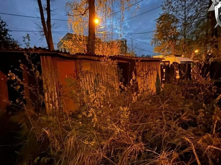 "Клопс": в калининградском СНТ нашли мумию