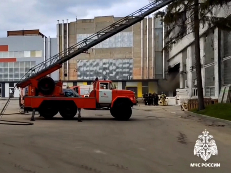 Воронежская трудинспекция выехала на место пожара с тремя погибшими на заводе