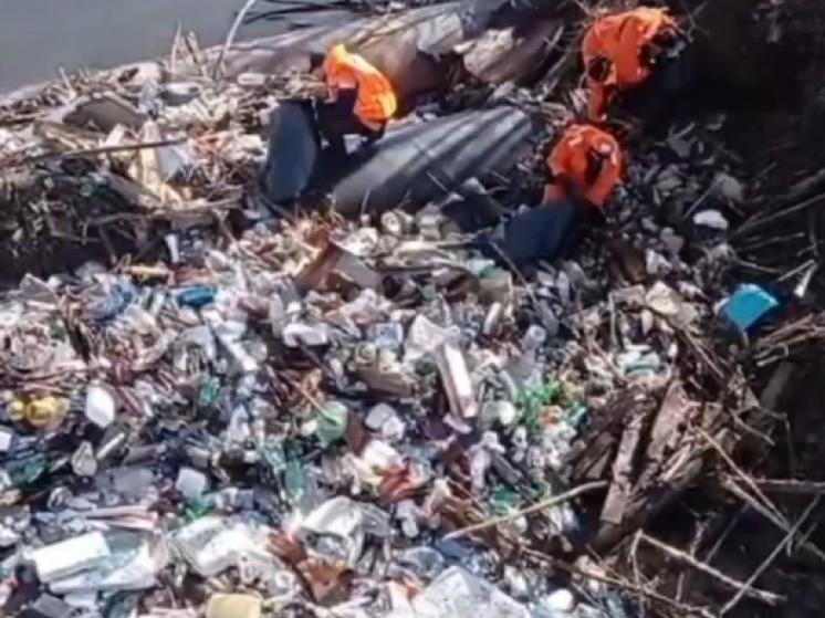 Спасатели МАСС заявили о возможной катастрофе из-за загрязнения рек в Новосибирске