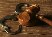 Жительницу Иркутской области приговорили к 12 годам лишения свободы за издевательства и убийство 12-летнего сына