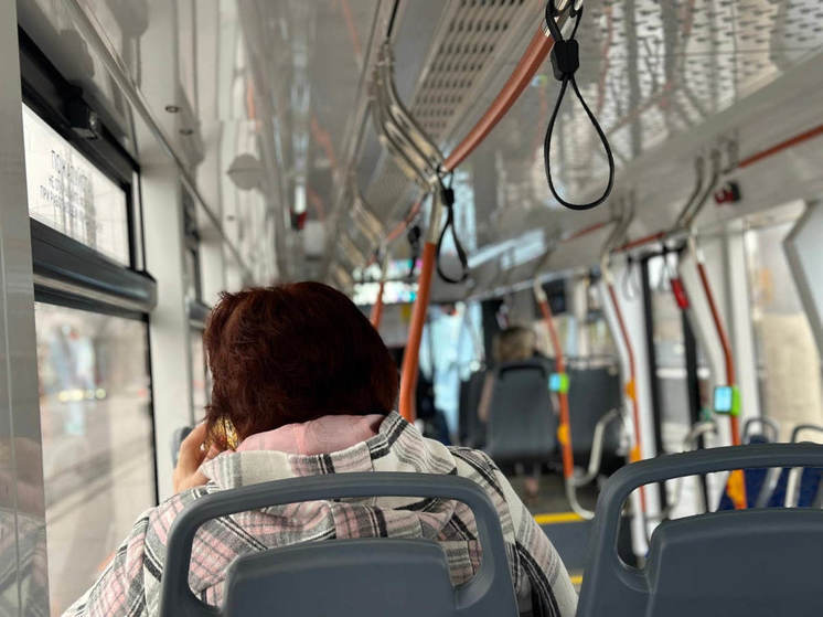 В Тульской области 10 пассажиров общественного транспорта пострадали при ДТП