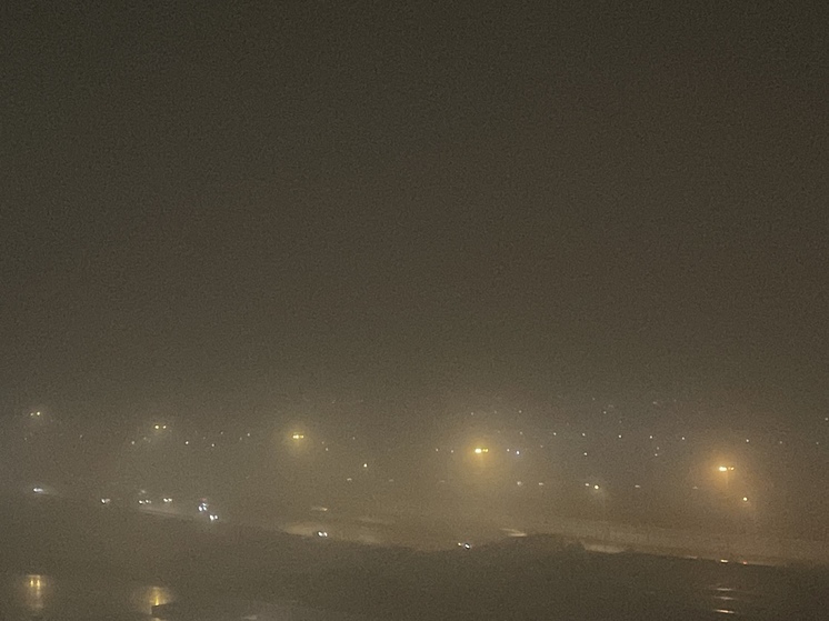 Вечером 23 апреля Петербург накроет сильный туман